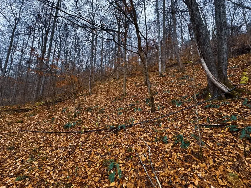 Picture 38