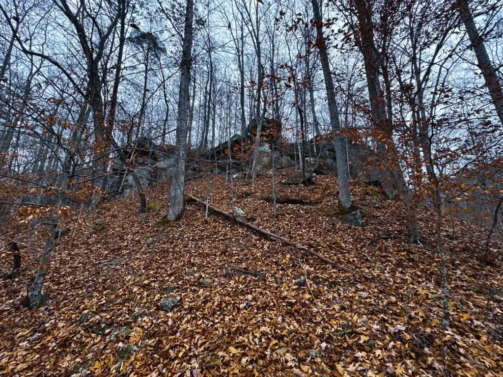 Picture 25