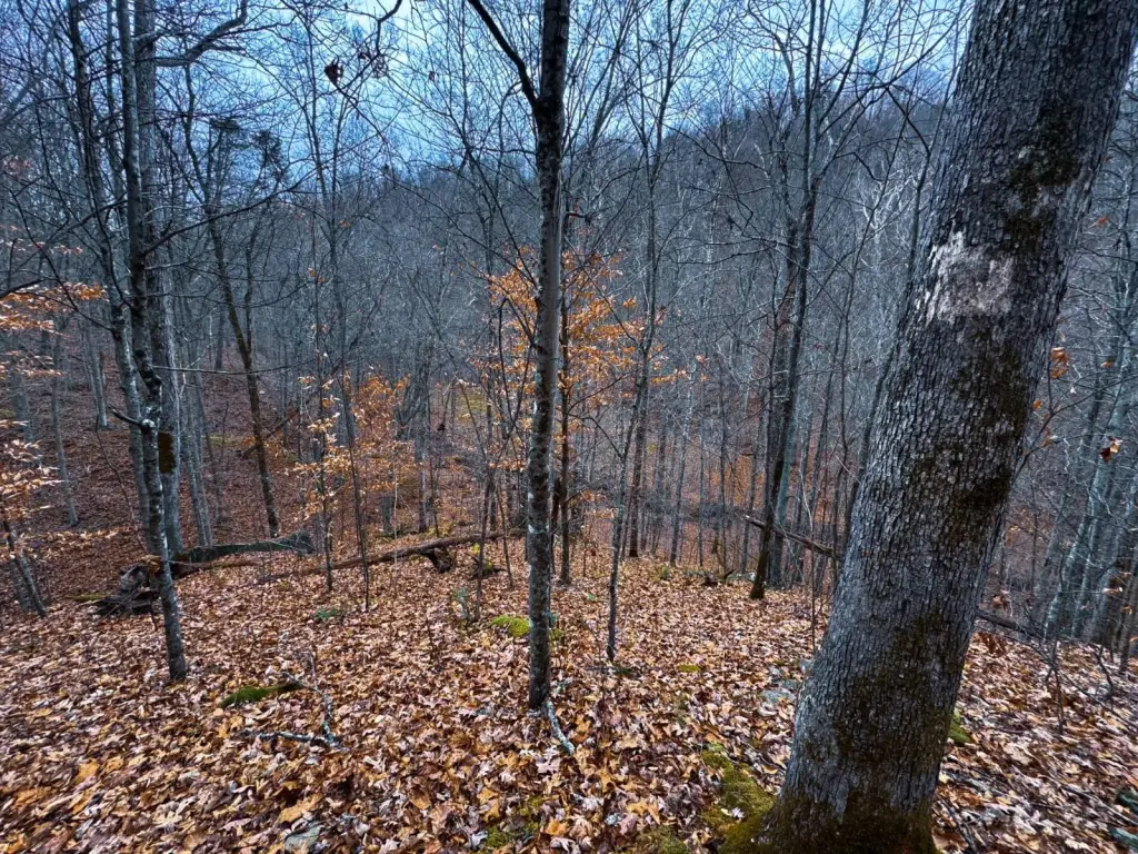 Picture 48