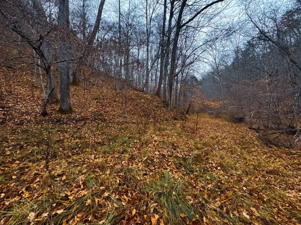 Picture 37