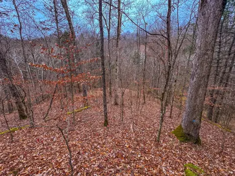 Recreational Land Near Riding Trails