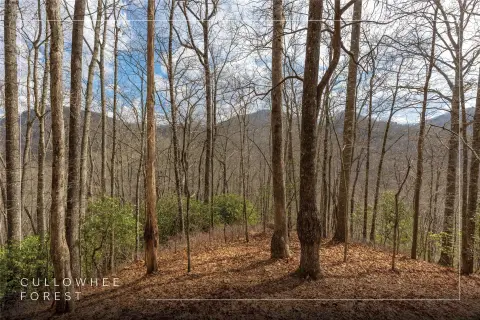 Mountain Homesite in Cullowhee Forest