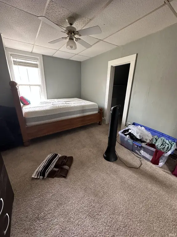 Picture 16