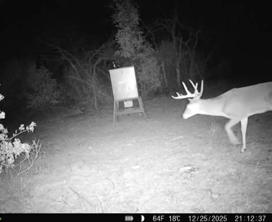 Picture 31