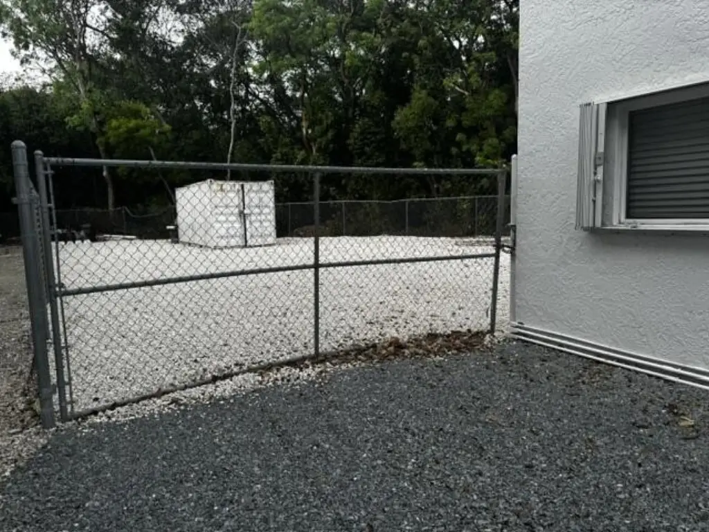 Picture 11