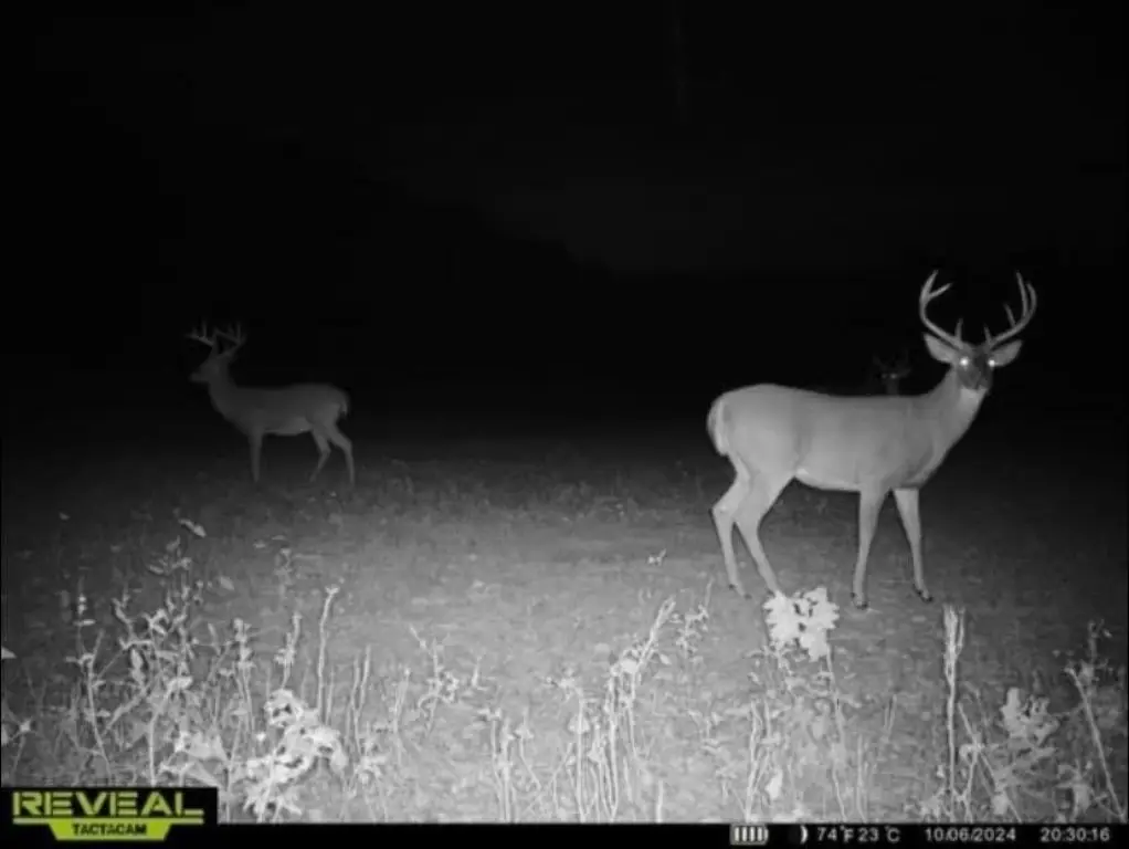 Picture 16