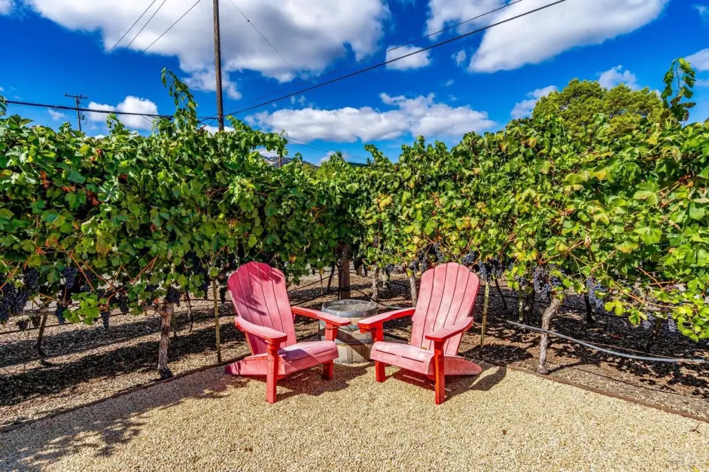 Picture 28