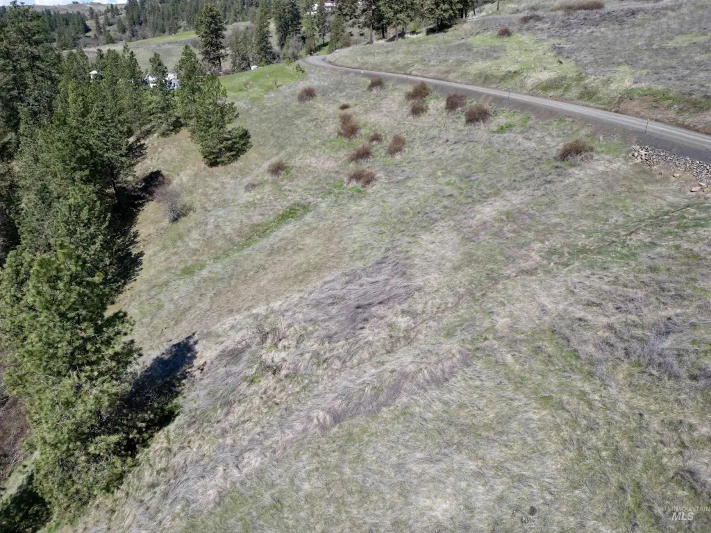 Picture 5