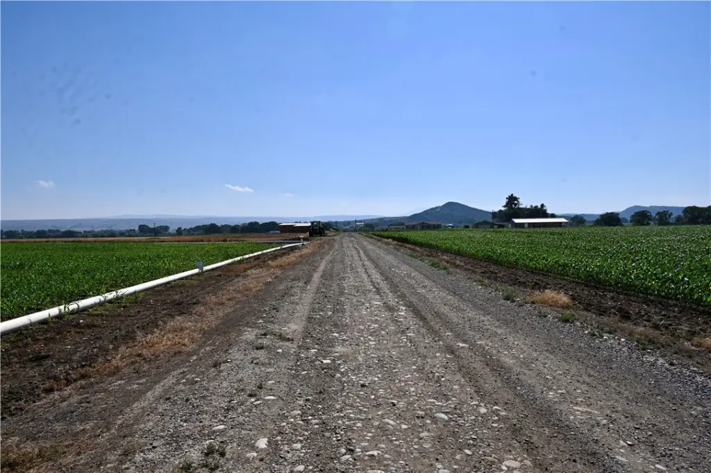 Picture 27
