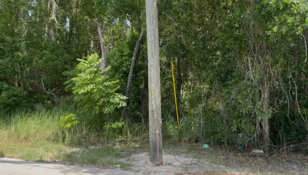 Picture 2