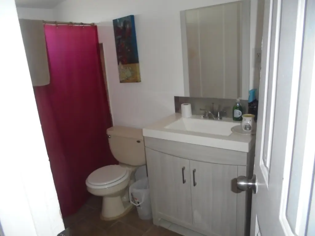 Picture 29