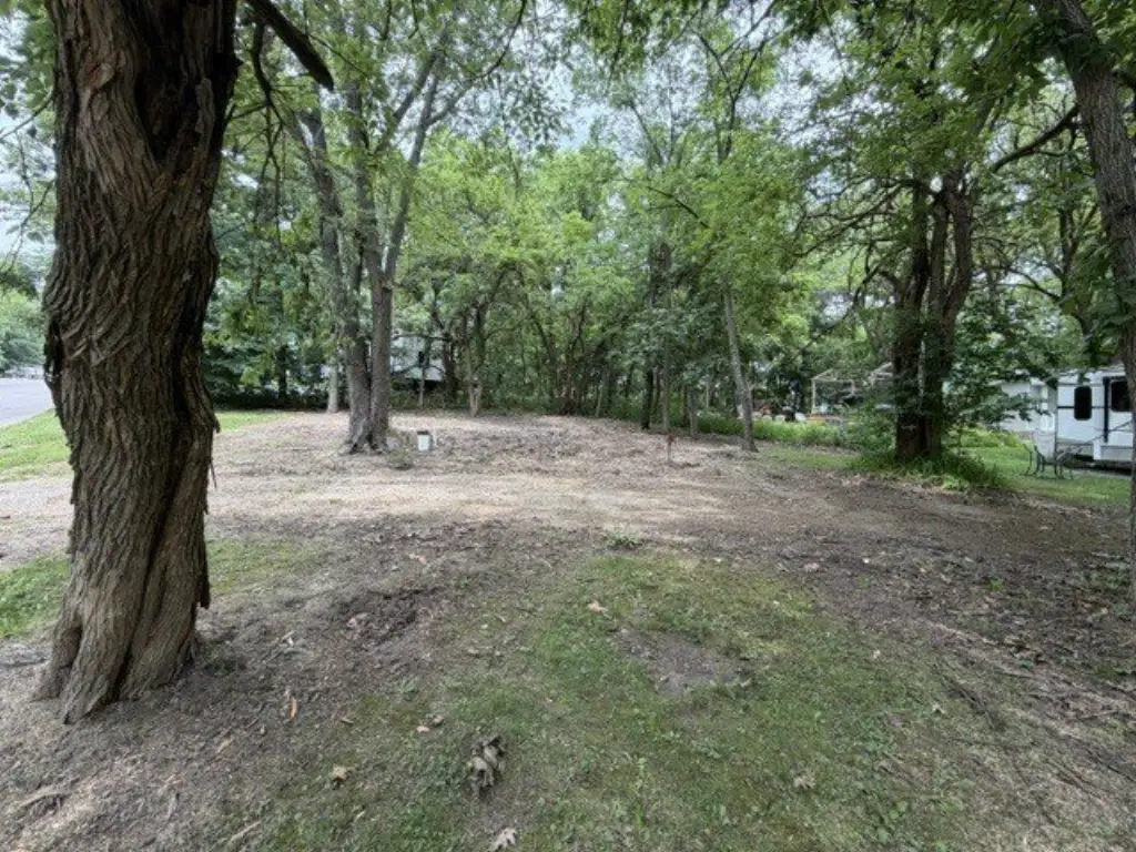 Picture 3