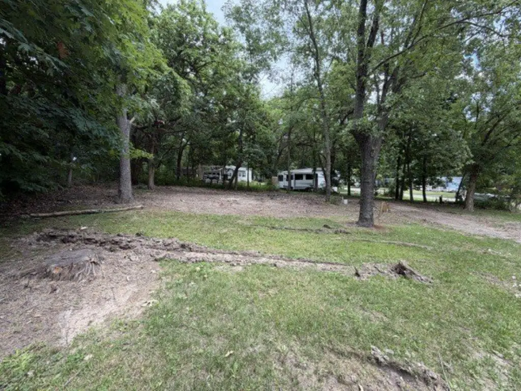 Picture 7