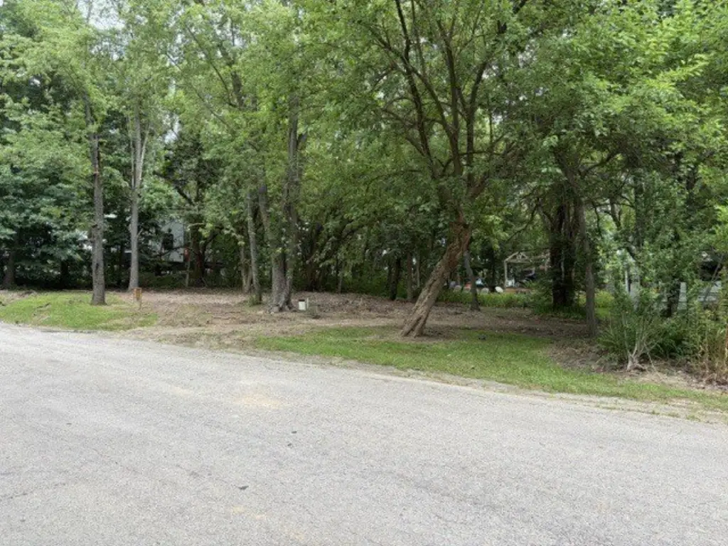 Picture 6