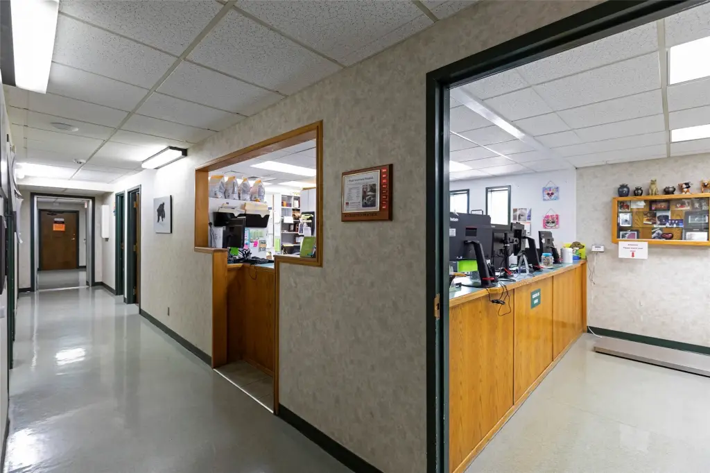 Picture 25