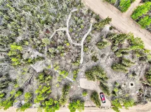 Land with Mature Trees