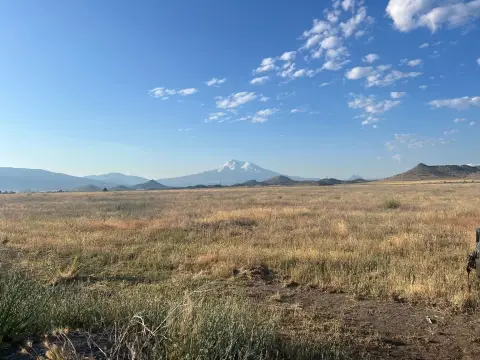 40 Acres with Mt. Shasta Views
