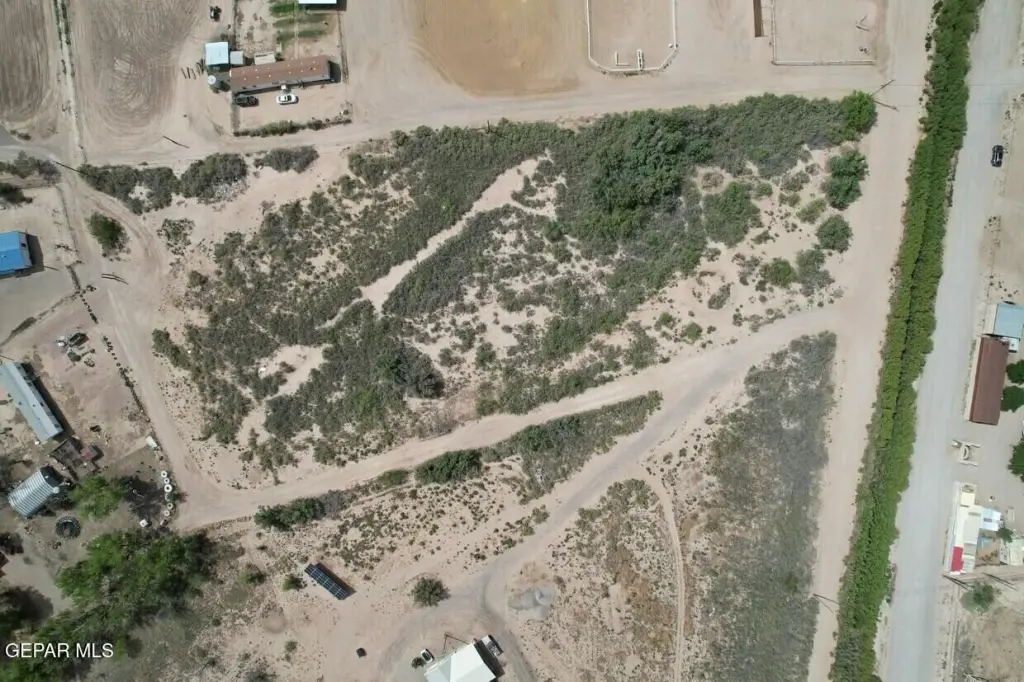 Picture 6