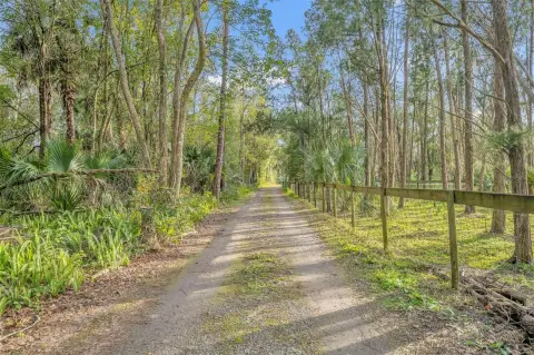 Cleared Land in Seminole County