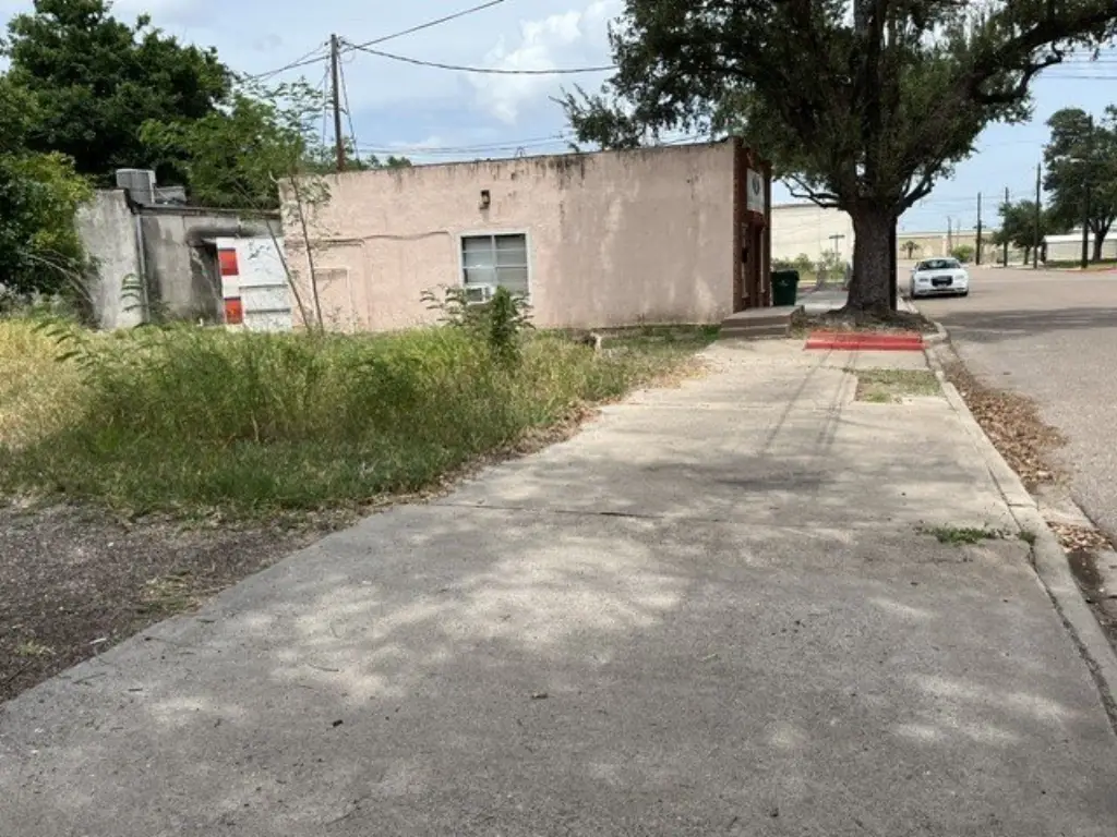Picture 5