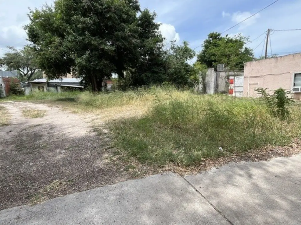 Picture 6