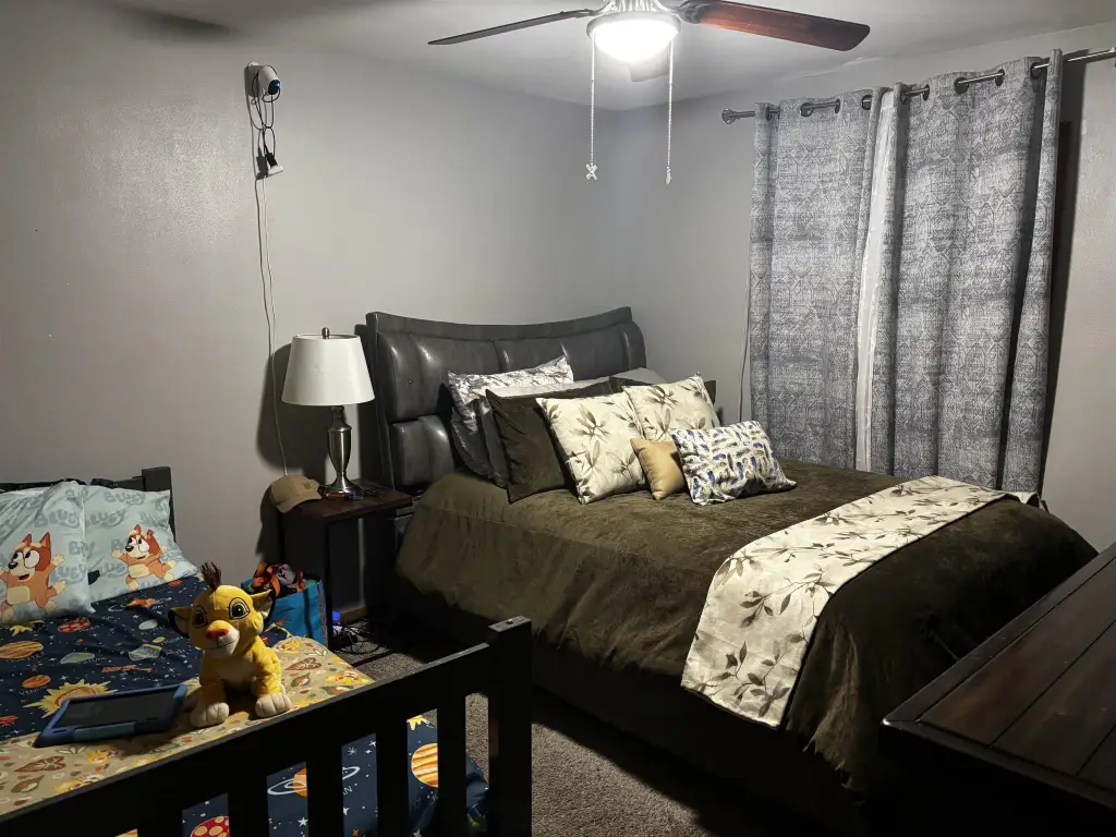 Picture 29