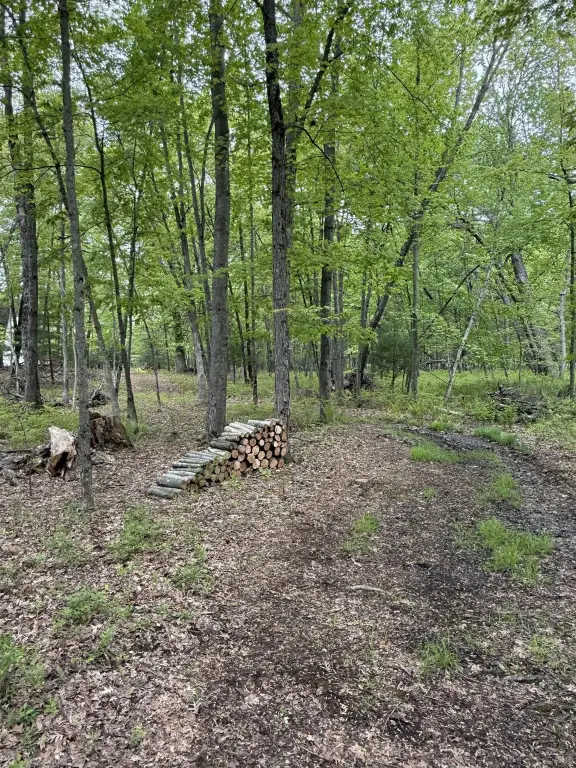 Picture 20