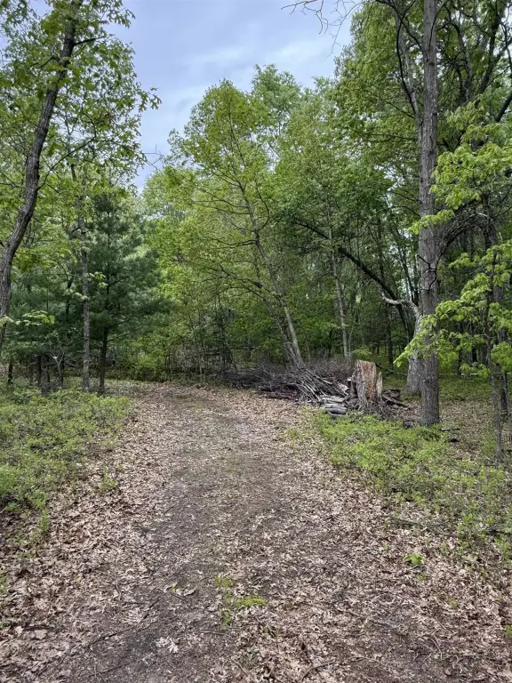 Picture 23