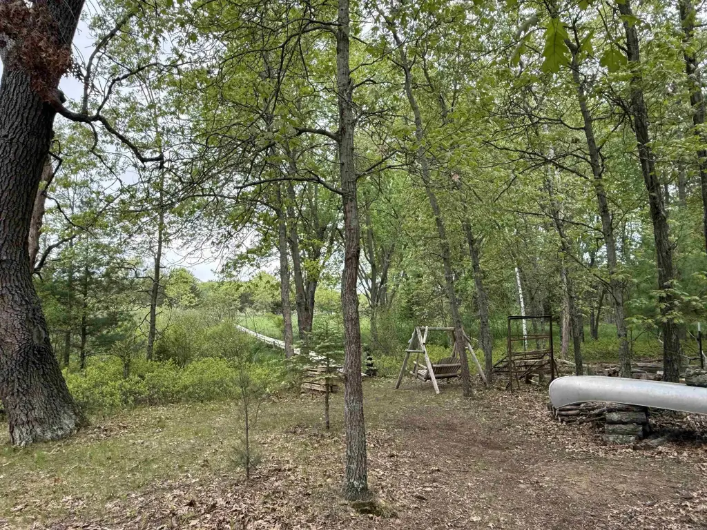 Picture 17