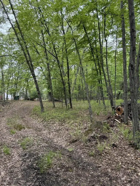 Picture 21