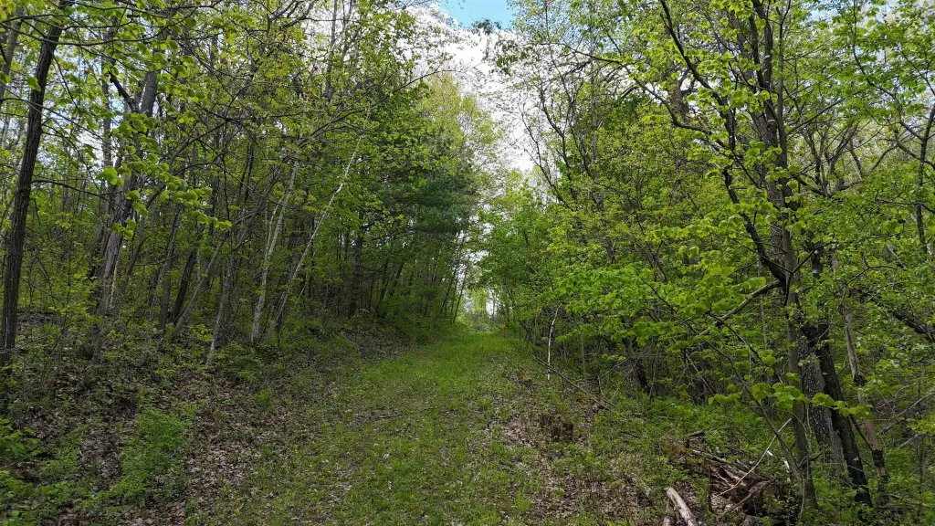 Picture 37