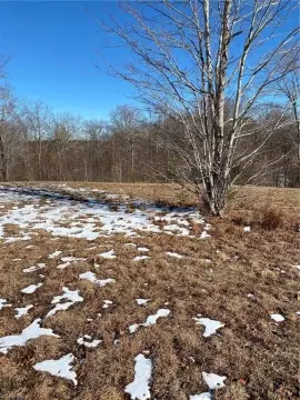 Residential Land in Reidsville, NC