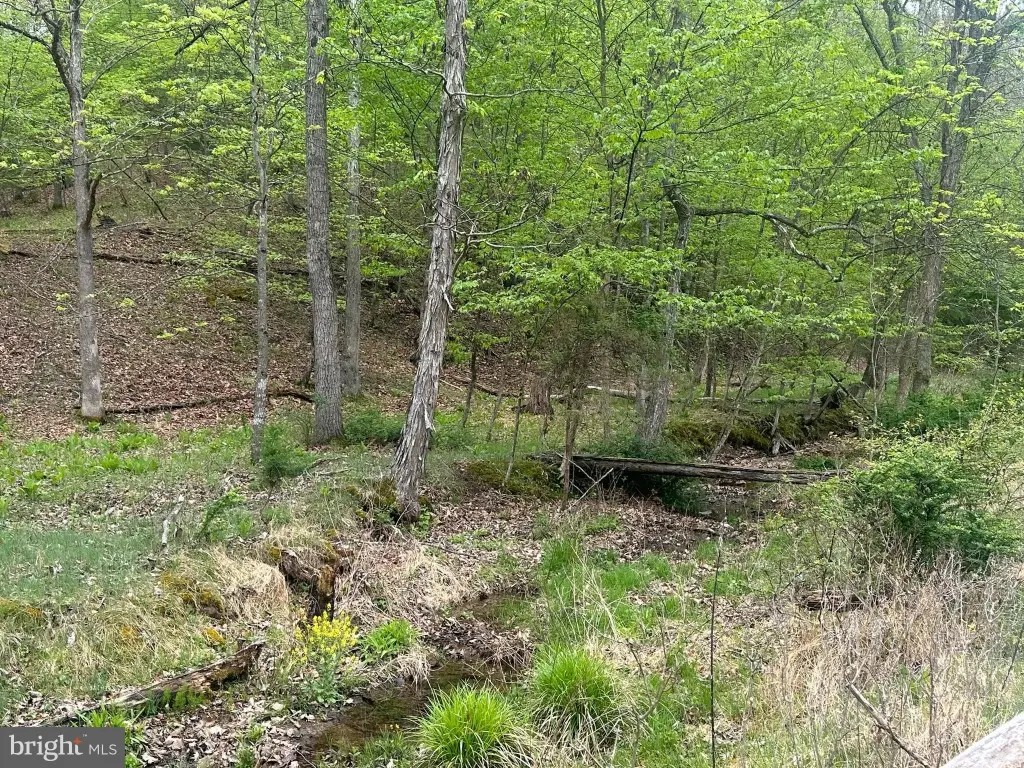 Picture 19