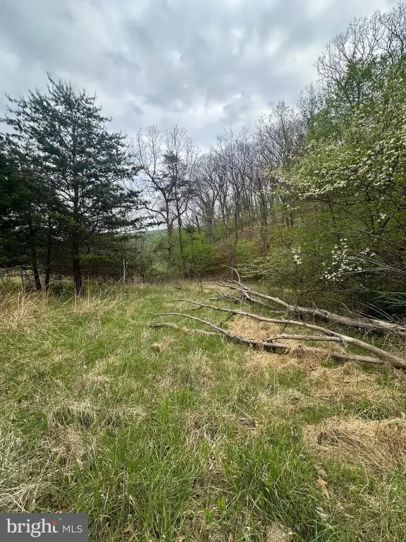 Picture 16