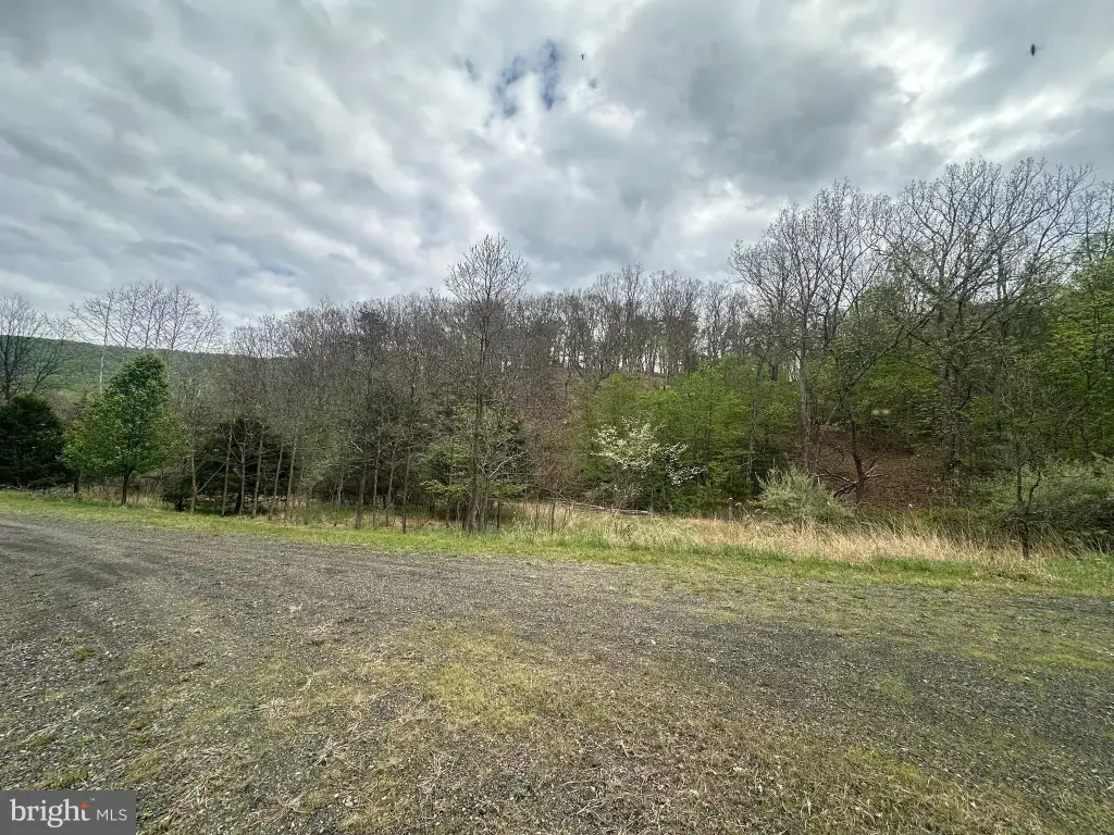 Picture 14