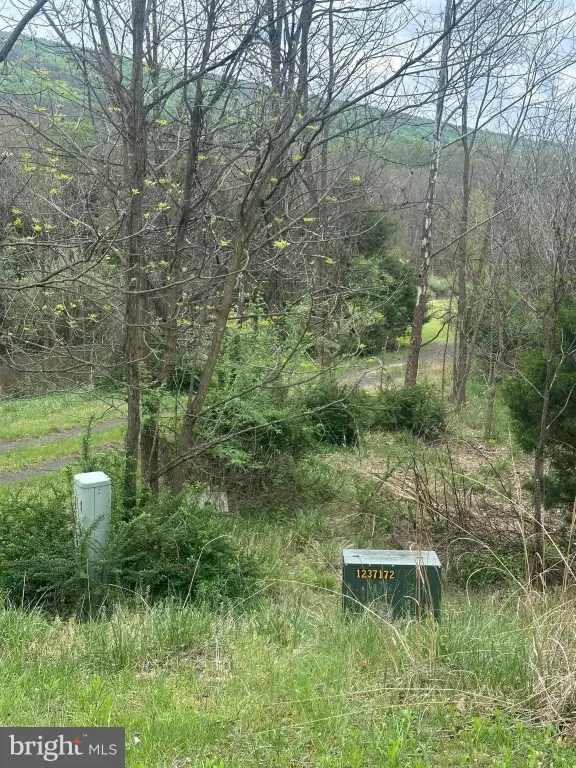 Picture 9