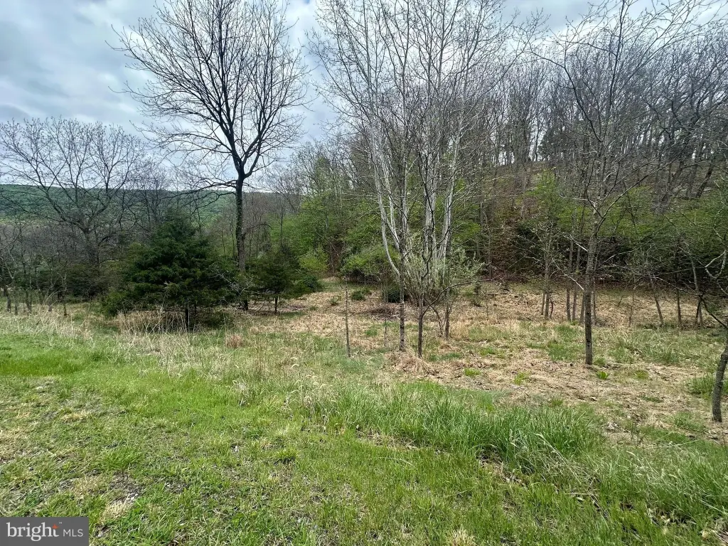 Picture 8