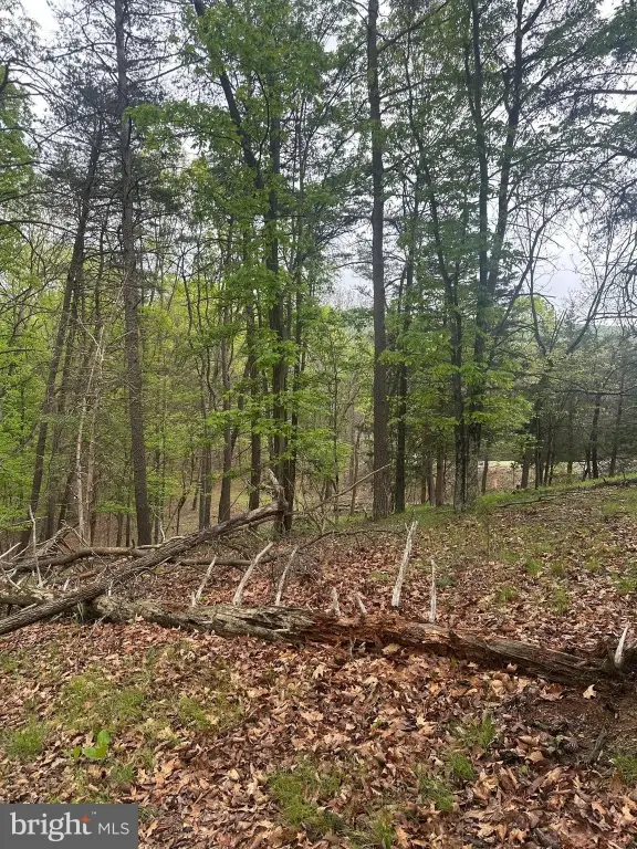 Picture 5