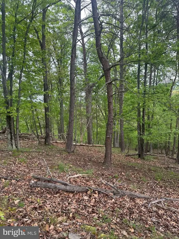 Picture 6
