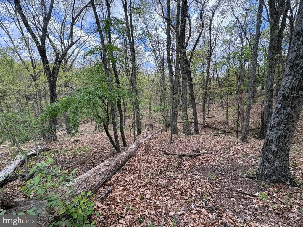 Picture 12