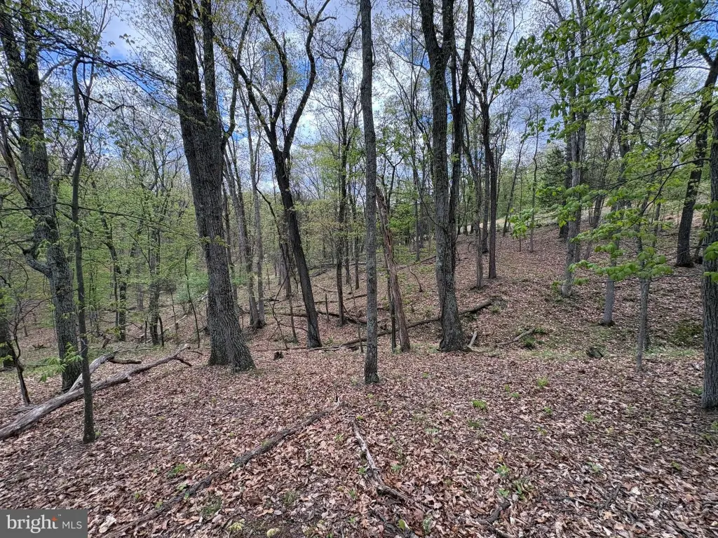 Picture 15