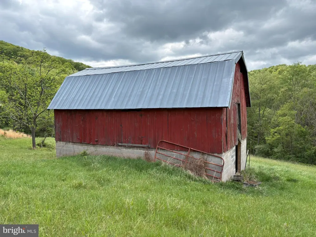 Picture 9