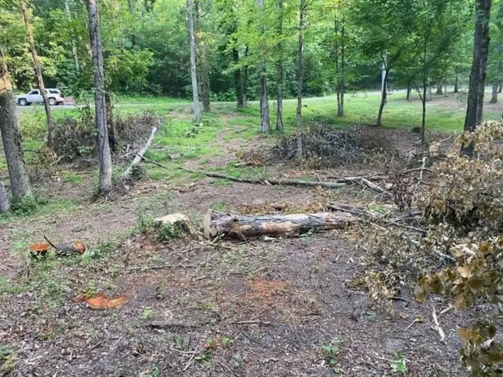 Picture 5