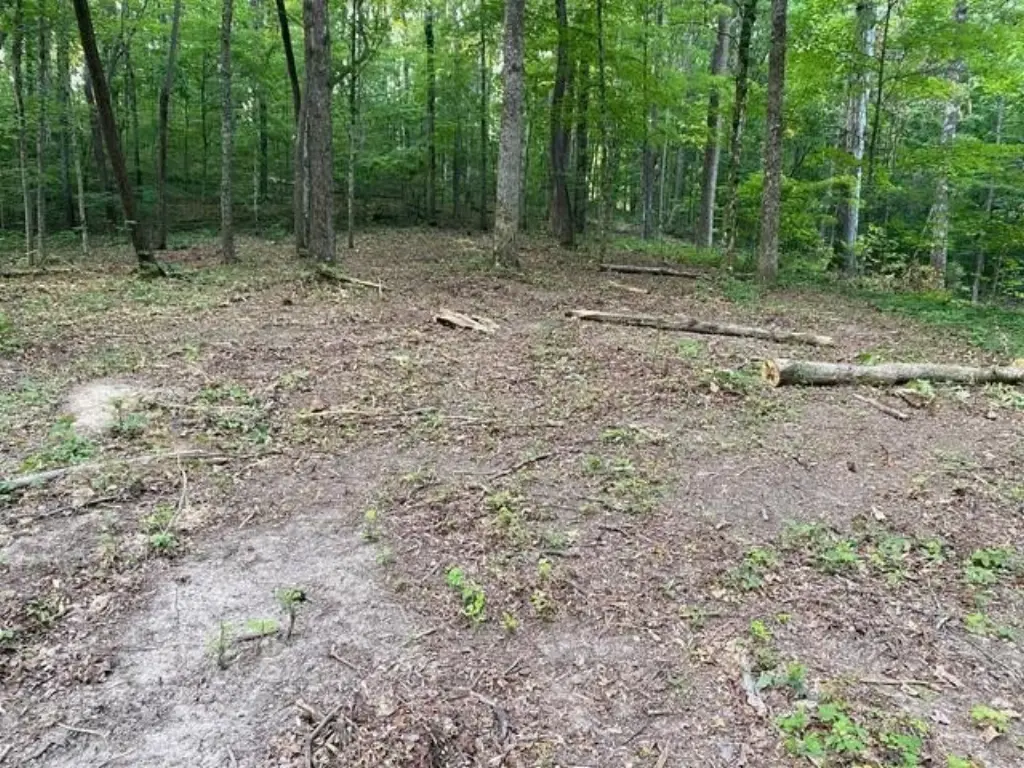 Picture 4