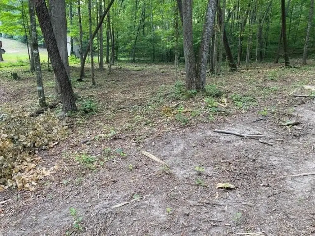 Picture 6