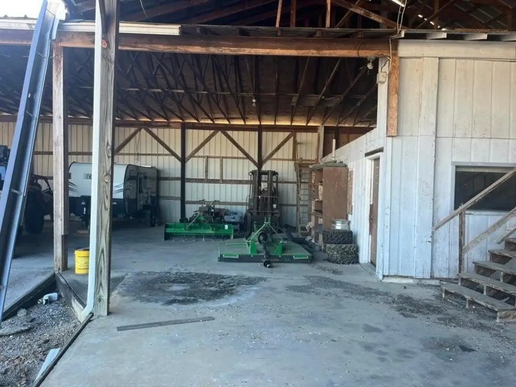 Picture 14