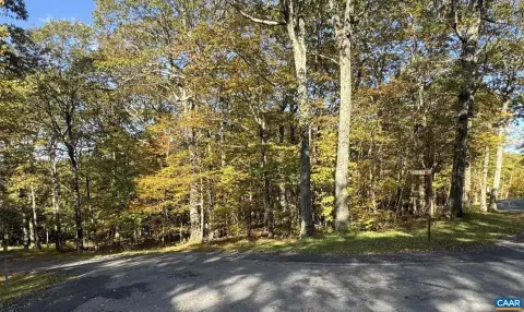 Wooded Resort Lot for Residence