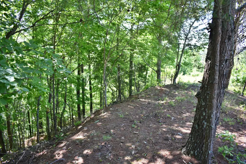 Picture 16