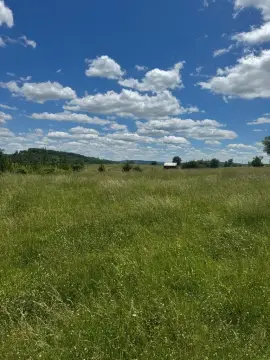 Cleared Land Near Dale Hollow