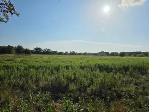 4-Acre Pasture in Groesbeck, TX